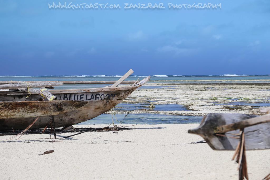 ホテル Albatross Ocean View Dongwe エクステリア 写真